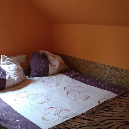 Проживание в семье Ptasi Gosciniec