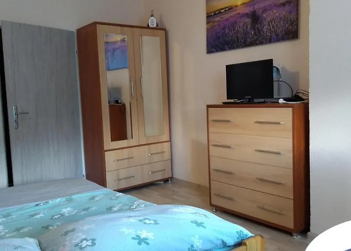 Проживание в семье Ptasi Gosciniec